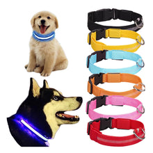 Luminous Pet Strap