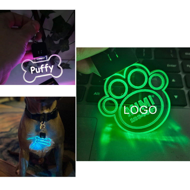 Acrylic Led Dog Leash Collar