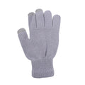 Touch Gloves For Winter Promotion