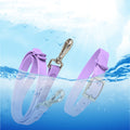 Pet Waterproof Leash Collar