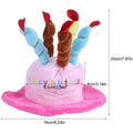 Pet Birthday Hat