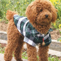 Pet Clothing Checkered Shirt