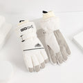 Waterproof Touchscreen Ski Gloves