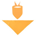Pet Bandana Triangle Scarf