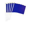 Solid Color Handheld Flag 2024 Parade Election Events