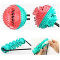 Leaky Food Ball Dog Toys