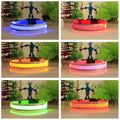 Reflective Strip Luminous Collar