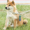 Dog Poop Bag Dispenser Flashlight