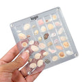 Acrylic Magnetic Seashell Display Box