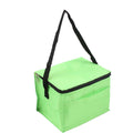 Portable Insulated Cooler Bag