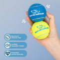 Dog Squeaky Tennis Ball Toy