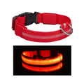 Luminous Pet Strap