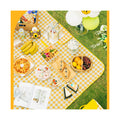 Picnic Blanket