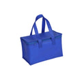Insulated Lunch Bag
