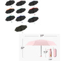 Mini Umbrella With Case