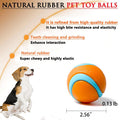 Dog Toy Ball