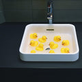 Yellow Rubber Ducks