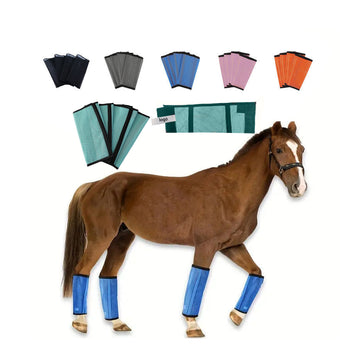 Horse Leg Protectors