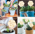 Wooden Plant Label Succulent Tag Plant Sign