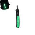 LED Light-Up Backpack Tag