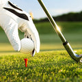 Golf Practice Balls