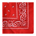 Paisley Hip-Hop Bandana