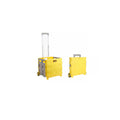 Foldable Plastic Portable Shopping Cart