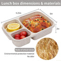 Bento Lunch Box