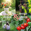 Garden Shears Flower Scissors