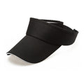 Sun Visor