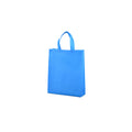Non-Woven Gift Bag