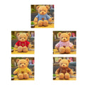 Teddy Bear (Hoodie Style)
