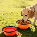 Collapsible Pet Bowl