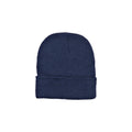 Polyester Knit Beanie