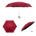 Small Folding Umbrella