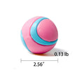Dog Toy Ball