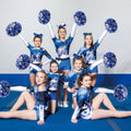 Premium Metallic Cheer Pom Poms With Baton Handle