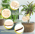 Wooden Plant Label Succulent Tag Plant Sign
