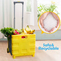 Foldable Portable Luggage Trolley