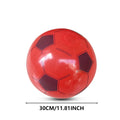 PVC Beach Ball