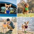 Pet Triangle Bandana