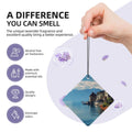 Car Aromatherapy Tablets