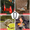D Shaped Carabiner Clip for Camping