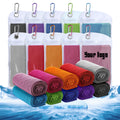 Microfiber Ice Towel With Carrying Pouch And Carabiner Clip