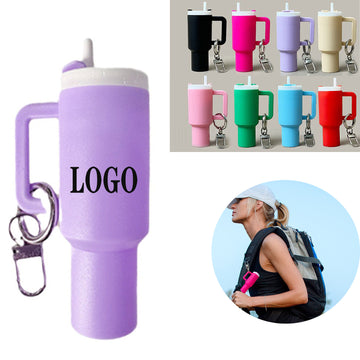 Mini Keychain Organizer With Carabiner Clip