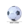 PVC Beach Ball