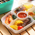 Salad Lunch Container With 4 Compartment Tray