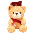 Dr. Hooded Bear Graduation Season Gift