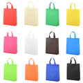 Non-Woven Gift Bag