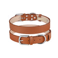 Double Buckle PU Pet Collar
